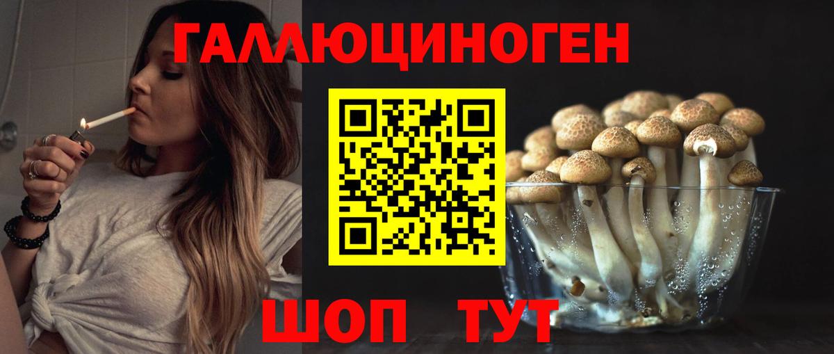 Галлюциногенные грибы мицелий  Псилоцибиновые грибы прущие грибы  Вход с VPN  Новоалександровск 