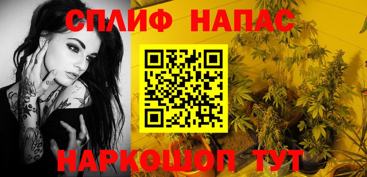 Новоалександровск  Канабис семена  Вход с VPN  Шишки марихуана планчик  Бошки Шишки сатива  Канабис семена 